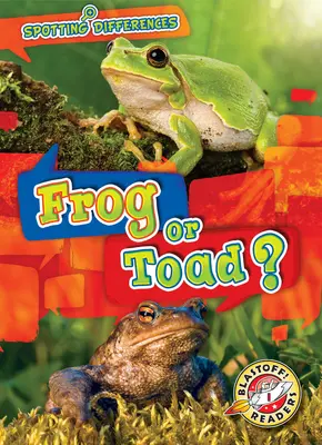 Żaba czy ropucha? - Frog or Toad?