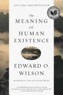 Sens ludzkiej egzystencji - The Meaning of Human Existence