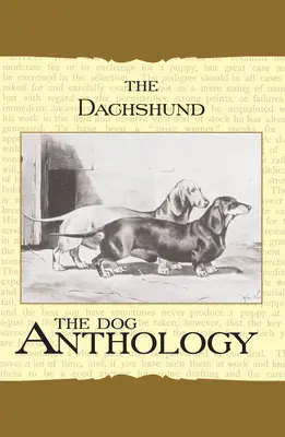 Daschund - antologia o psach (klasyczna książka o psach w stylu vintage) - The Daschund - A Dog Anthology (A Vintage Dog Books Breed Classic)