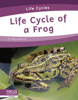 Cykl życia żaby - Life Cycle of a Frog