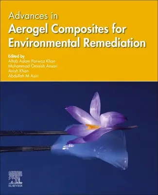 Postępy w kompozytach aerożelowych do rekultywacji środowiska - Advances in Aerogel Composites for Environmental Remediation