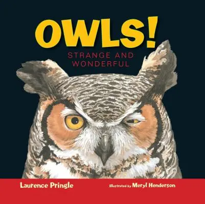 Sowy! Dziwne i wspaniałe - Owls!: Strange and Wonderful