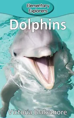 Delfiny - Dolphins
