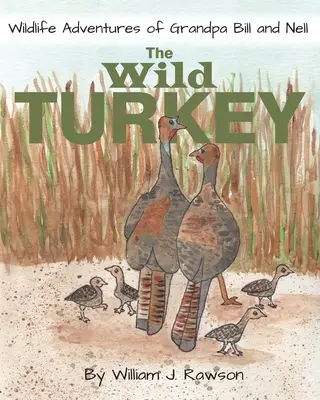 Dziki indyk - The Wild Turkey