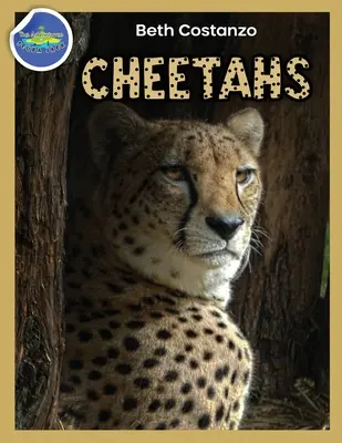 Gepard Zeszyt ćwiczeń dla dzieci w wieku 4-8 lat - Cheetah Activity Workbook ages 4-8
