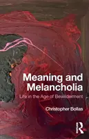 Znaczenie i melancholia: Życie w epoce oszołomienia - Meaning and Melancholia: Life in the Age of Bewilderment