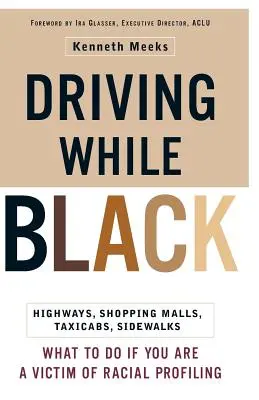 Jazda na czarno: autostrady, centra handlowe, taksówki, chodniki: Jak walczyć, jeśli jesteś ofiarą profilowania rasowego - Driving While Black: Highways, Shopping Malls, Taxi Cabs, Sidewalks: How to Fight Back If You Are a Victim of Racial Profiling