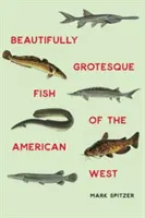 Pięknie groteskowe ryby amerykańskiego Zachodu - Beautifully Grotesque Fish of the American West