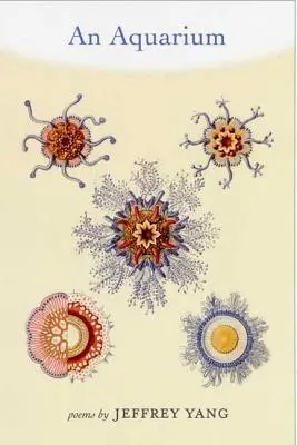 Akwarium - An Aquarium