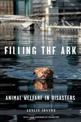 Filling the Ark: Dobrostan zwierząt w katastrofach - Filling the Ark: Animal Welfare in Disasters