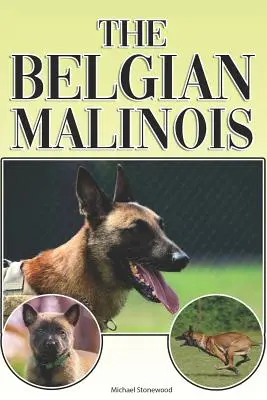 Belgijski Malinois: Kompletny i kompleksowy przewodnik dla początkujących: Kupno, Posiadanie, Zdrowie, Pielęgnacja, Szkolenie, Posłuszeństwo, Zrozumienie - The Belgian Malinois: A Complete and Comprehensive Beginners Guide To: Buying, Owning, Health, Grooming, Training, Obedience, Understanding