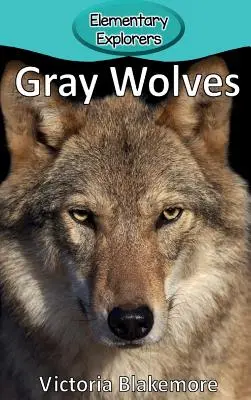 Szare wilki - Gray Wolves
