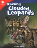 Wychowanie lampartów chmurnych - Raising Clouded Leopards