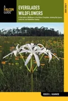 Everglades Wildflowers: Przewodnik terenowy po dzikich kwiatach historycznych Everglades, w tym Big Cypress, Corkscrew i Fakahatchee Swamps - Everglades Wildflowers: A Field Guide to Wildflowers of the Historic Everglades, Including Big Cypress, Corkscrew, and Fakahatchee Swamps