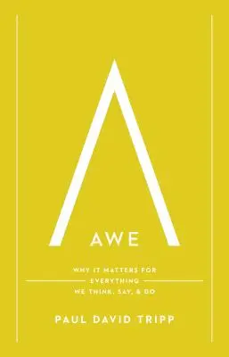 Zachwyt: Dlaczego ma znaczenie dla wszystkiego, co myślimy, mówimy i robimy? - Awe: Why It Matters for Everything We Think, Say, and Do