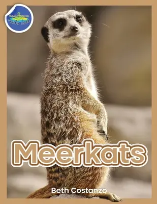 Meerkat Zeszyt ćwiczeń dla dzieci w wieku 4-8 lat - Meerkat Activity Workbook for Kids ages 4-8