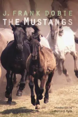Mustangi - The Mustangs