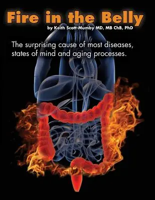 Ogień w brzuchu: Zaskakująca przyczyna większości chorób, stanów umysłu i procesów starzenia się - Fire In The Belly: The Surprising Cause of Most Diseases, States Of Mind and Aging Processes