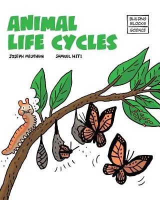 Cykle życia zwierząt - Animal Life Cycles