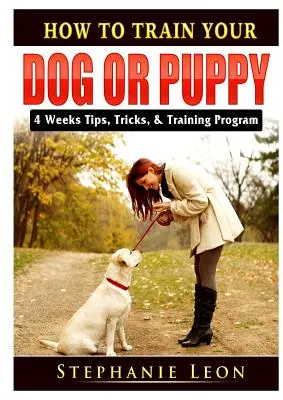 Jak wytresować psa lub szczeniaka: 4 tygodnie wskazówek, sztuczek i programu szkoleniowego - How to Train Your Dog or Puppy: 4 Weeks Tips, Tricks, & Training Program