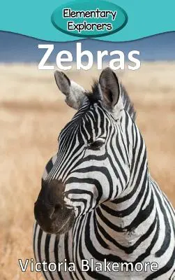 Zebry - Zebras