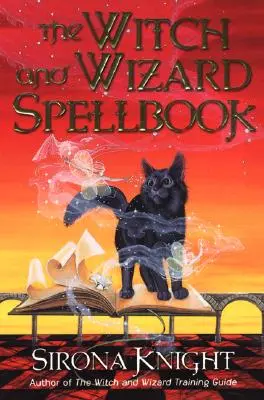Księga zaklęć czarownic i czarodziejów - The Witch and Wizard Spellbook