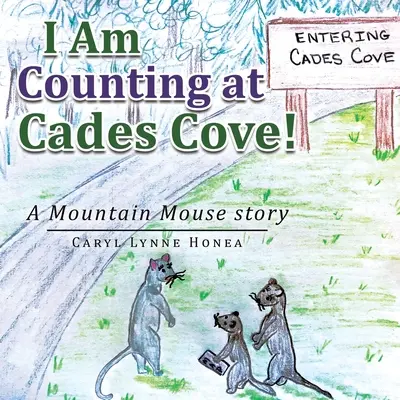 Liczę w Cades Cove! Opowieść o myszach górskich - I Am Counting at Cades Cove!: A Mountain Mouse Story