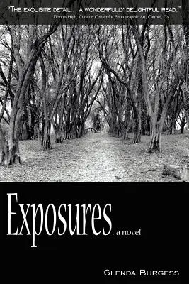 Exposures, powieść - Exposures, a novel