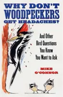 Dlaczego dzięcioły nie dostają bólu głowy? I inne ptasie pytania, które chciałbyś zadać - Why Don't Woodpeckers Get Headaches?: And Other Bird Questions You Know You Want to Ask