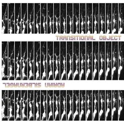 Obiekt przejściowy - Transitional Object