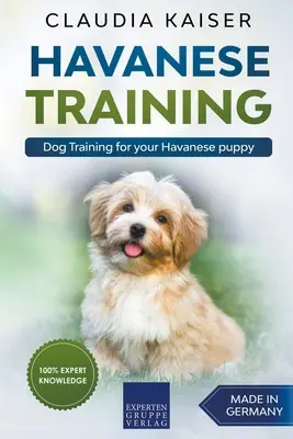 Szkolenie Hawańczyka: Szkolenie psów dla szczeniąt rasy hawańczyk - Havanese Training: Dog Training for Your Havanese Puppy