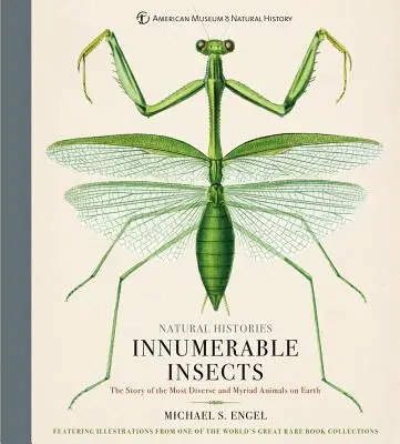 Niezliczone owady: Historia najbardziej zróżnicowanych i niezliczonych zwierząt na Ziemi - Innumerable Insects: The Story of the Most Diverse and Myriad Animals on Earth