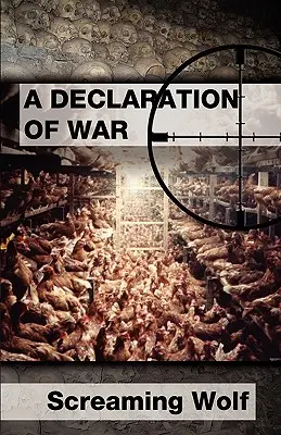 Deklaracja wojny - Declaration of War