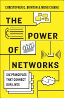 Potęga sieci: Sześć zasad, które łączą nasze życie - The Power of Networks: Six Principles That Connect Our Lives