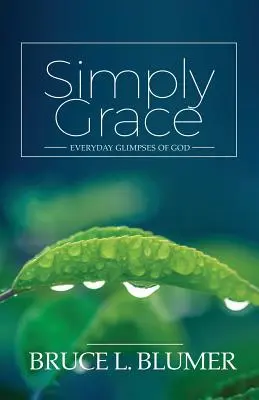 Po prostu łaska: Codzienne przebłyski Boga - Simply Grace: Everyday Glimpses of God