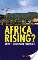 Powstanie Afryki? Brics - dywersyfikacja zależności - Africa Rising?: Brics - Diversifying Dependency