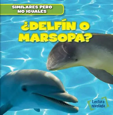 Delfin czy morświn? (Delfin czy morświn?) - Delfin O Marsopa? (Dolphin or Porpoise?)