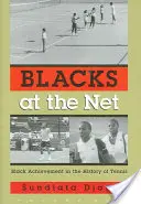 Czarni w Necie: Osiągnięcia czarnoskórych w historii tenisa, tom I - Blacks at the Neta: Black Achievement in the History of Tennis, Vol. I