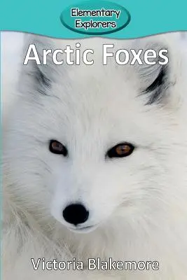 Lisy polarne - Arctic Foxes