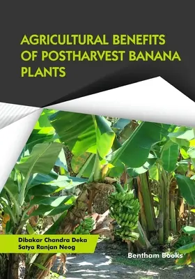 Korzyści rolnicze wynikające z uprawy bananów po zbiorach - Agricultural Benefits of Postharvest Banana Plants