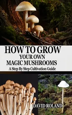 Jak wyhodować własne magiczne grzyby: Przewodnik uprawy krok po kroku - How to Grow Your Own Magic Mushrooms: A Step By Step Cultivation Guide