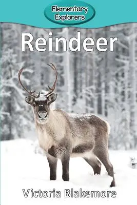Renifery - Reindeer