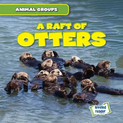 Tratwa wydr - A Raft of Otters