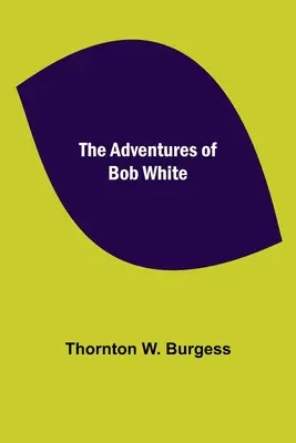 Przygody Boba White'a - The Adventures of Bob White