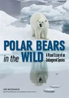 Niedźwiedzie polarne na wolności: wizualny esej o zagrożonym gatunku - Polar Bears in the Wild: A Visual Essay of an Endangered Species