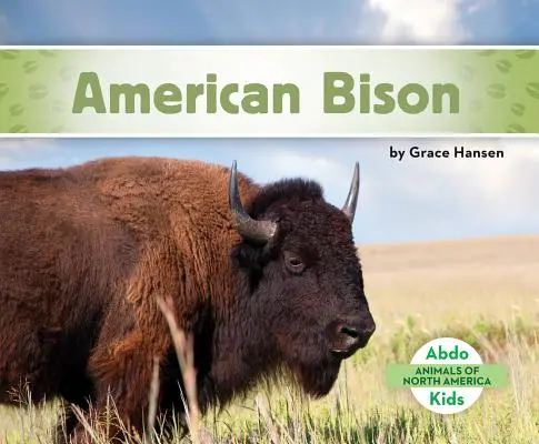 Żubr amerykański - American Bison