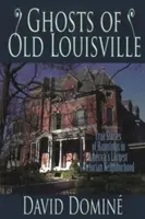 Duchy starego Louisville: Prawdziwe historie o nawiedzeniach w największej wiktoriańskiej dzielnicy Ameryki - Ghosts of Old Louisville: True Stories of Hauntings in America's Largest Victorian Neighborhood