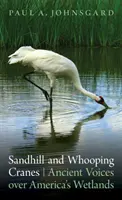 Żurawie piaskowe i krzykliwe: Starożytne głosy nad amerykańskimi mokradłami - Sandhill and Whooping Cranes: Ancient Voices Over America's Wetlands