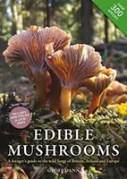 Grzyby jadalne - przewodnik zbieracza po dzikich grzybach Wielkiej Brytanii, Irlandii i Europy - Edible Mushrooms - A Forager's Guide to the Wild Fungi of Britain, Ireland and Europe