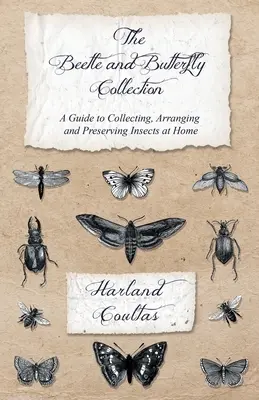 Kolekcja chrząszczy i motyli - przewodnik po zbieraniu, układaniu i konserwowaniu owadów w domu - The Beetle and Butterfly Collection - A Guide to Collecting, Arranging and Preserving Insects at Home